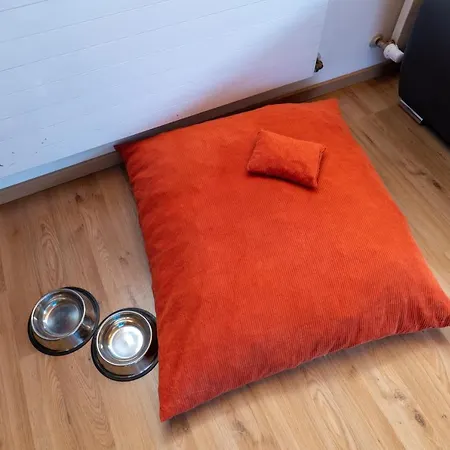 Appartement Haus Kappeller Ferienwohnung Lechtl 4 Bach (Tyrol)